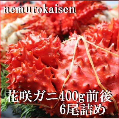 【北海道根室産】花咲ガニ400g×6尾 C-57049