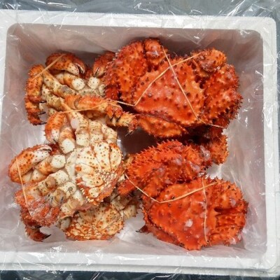【北海道根室産】花咲ガニ400g×6尾 C-57049