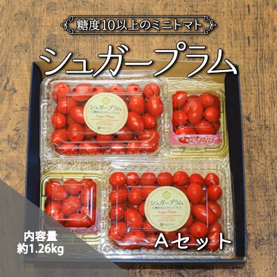 シュガープラム Aセット