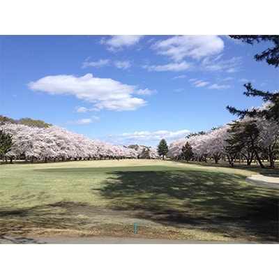 玉村ゴルフ場 平日限定 4名様1Rゴルフプレー招待券(昼食付)