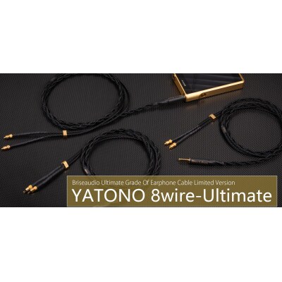 YATONO 8wire-Ultimate 4.4mm ストレート型 to CIEM2pin