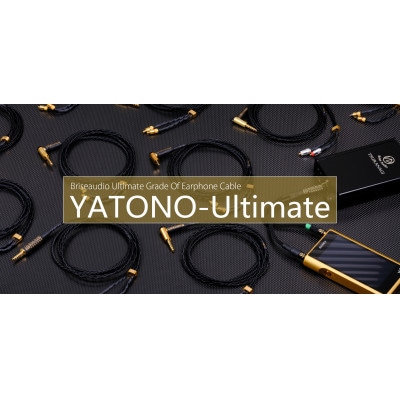 YATONO-Ultimate 4.4mm L型 to CIEM2pin