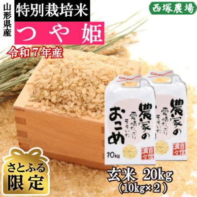 【さとふる限定】令和7年産　特別栽培米つや姫　玄米 20kg　山形県産　西塚農場のお米