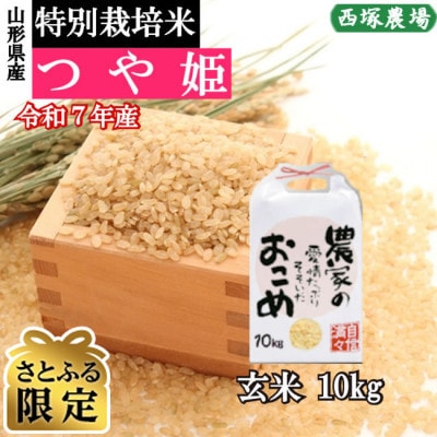【さとふる限定】令和7年産 特別栽培米つや姫　玄米 10kg　山形県産　西塚農場のお米