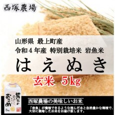 【令和4年産】特別栽培米はえぬき　玄米 5kg　山形県産　西塚農場のお米