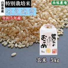 【令和5年産】特別栽培米はえぬき 玄米 5kg 山形県産 西塚農場のお米