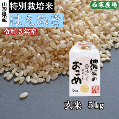 【令和5年産】特別栽培米はえぬき　玄米 5kg　山形県産　西塚農場のお米