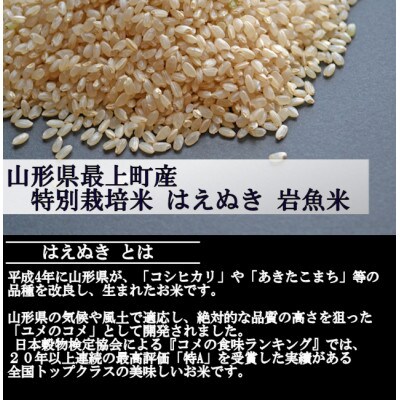 【令和5年産】特別栽培米はえぬき　玄米 5kg　山形県産　西塚農場のお米