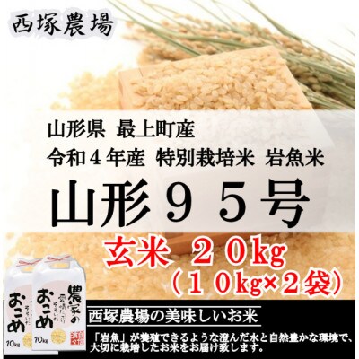 【令和4年産】特別栽培米 山形95号　玄米 20kg　山形県産　西塚農場のお米
