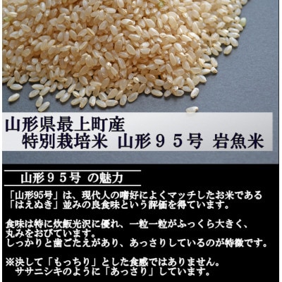【令和4年産】特別栽培米 山形95号　玄米 20kg　山形県産　西塚農場のお米