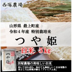 【令和4年産】特別栽培米つや姫　白米 5kg　山形県産　西塚農場のお米