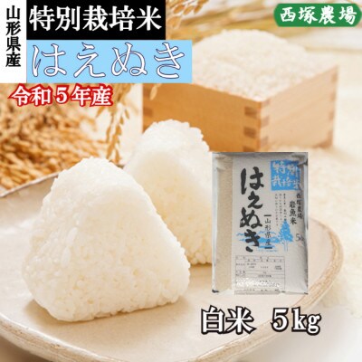 【令和5年産】特別栽培米はえぬき　白米 5kg　山形県産　西塚農場のお米