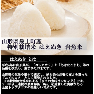 【令和5年産】特別栽培米はえぬき　白米 5kg　山形県産　西塚農場のお米