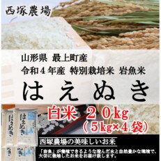 【令和4年産】特別栽培米はえぬき　白米 20kg　山形県産　西塚農場のお米
