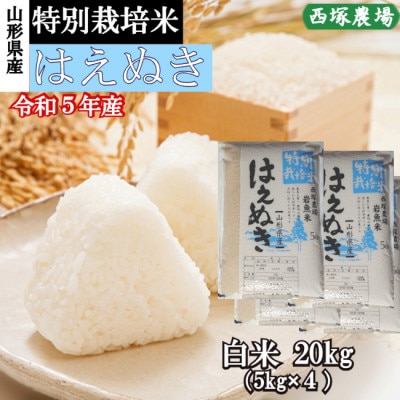 【令和5年産】特別栽培米はえぬき　白米 20kg　山形県産　西塚農場のお米