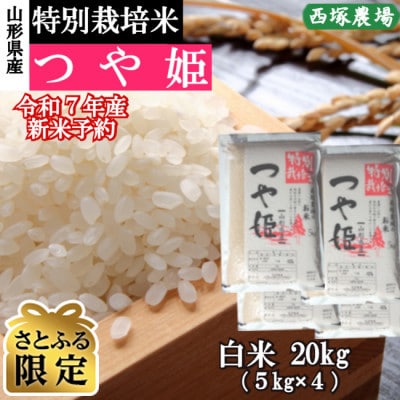 【さとふる限定】新米先行受付　令和7年産 特別栽培米つや姫　白米 20kg　山形県産　西塚農場のお米