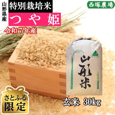 【さとふる限定】令和7年産 特別栽培米つや姫　玄米 30kg　山形県産　西塚農場のお米
