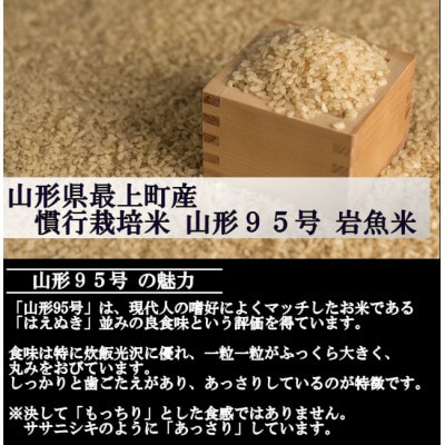 【令和4年産】慣行栽培米 山形95号　玄米 30kg　山形県産　西塚農場のお米