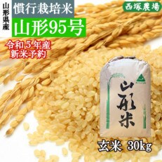 【先行受付】令和5年産 新米 慣行栽培米 山形95号　玄米 30kg　山形県産　西塚農場のお米