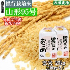 【先行受付】令和5年産 新米 慣行栽培米 山形95号　玄米 20kg　山形県産　西塚農場のお米