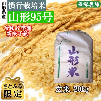【さとふる限定】先行受付　令和8年産 慣行栽培米 山形95号　玄米 20kg　山形県産　西塚農場