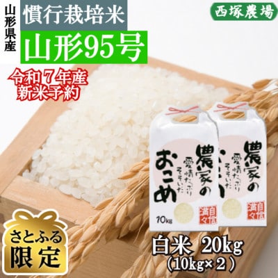 【さとふる限定】新米先行受付　令和7年産 慣行栽培米 山形95号　白米 20kg　山形県産　西塚農場