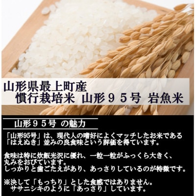 【さとふる限定】新米先行受付　令和7年産 慣行栽培米 山形95号　白米 20kg　山形県産　西塚農場