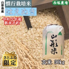 【さとふる限定】【先行受付】令和5年産新米　慣行栽培米はえぬき玄米30kg　山形県産　西塚農場のお米
