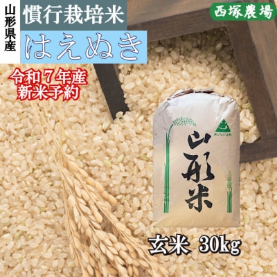 【新米先行受付】令和7年産　慣行栽培米はえぬき玄米30kg　山形県産　西塚農場の米