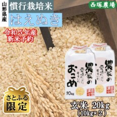 【さとふる限定】【先行受付】令和5年産新米　慣行栽培米はえぬき玄米20kg　山形県産　西塚農場のお米