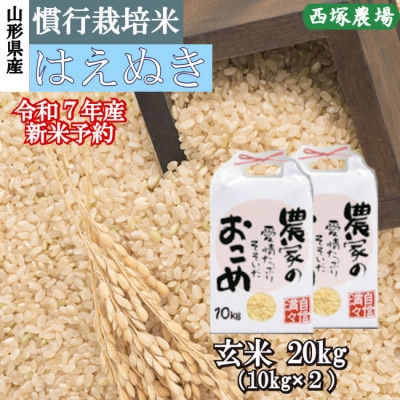 【新米先行受付】令和7年産　慣行栽培米はえぬき玄米20kg　山形県産　西塚農場の米