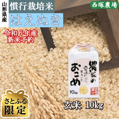 【さとふる限定】令和6年産　慣行栽培米はえぬき玄米10kg　山形県産　西塚農場の米