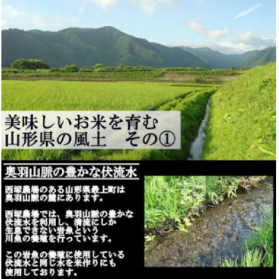 【先行受付】令和5年産 雪若丸　玄米 5kg　山形県産　西塚農場のお米