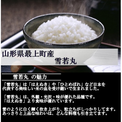 【さとふる限定】令和6年産 雪若丸　白米10kg　山形県産　西塚農場のお米