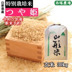 【先行受付】令和5年産 新米 特別栽培米つや姫　玄米 30kg　山形県産　西塚農場のお米