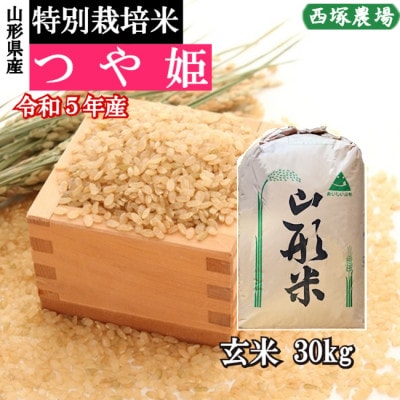 令和5年産 特別栽培米つや姫　玄米 30kg　山形県産　西塚農場のお米