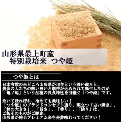 令和5年産 特別栽培米つや姫　玄米 30kg　山形県産　西塚農場のお米