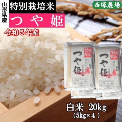 令和5年産 特別栽培米つや姫　白米 20kg　山形県産　西塚農場のお米