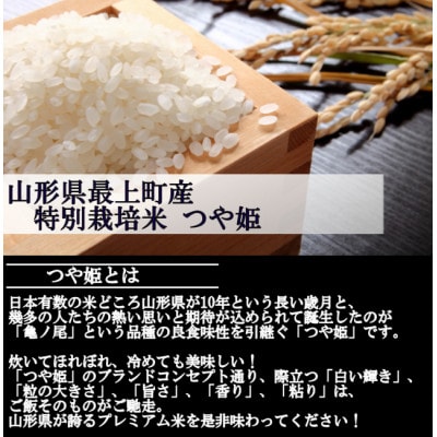 令和5年産 特別栽培米つや姫　白米 20kg　山形県産　西塚農場のお米