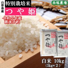 【先行受付】令和5年産 新米 特別栽培米つや姫　白米 10kg　山形県産　西塚農場のお米