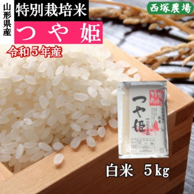 令和5年産 特別栽培米つや姫　白米 5kg　山形県産　西塚農場のお米