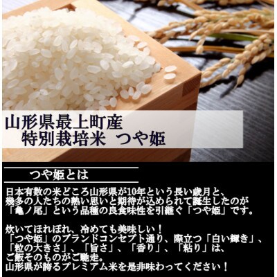 令和5年産 特別栽培米つや姫　白米 5kg　山形県産　西塚農場のお米