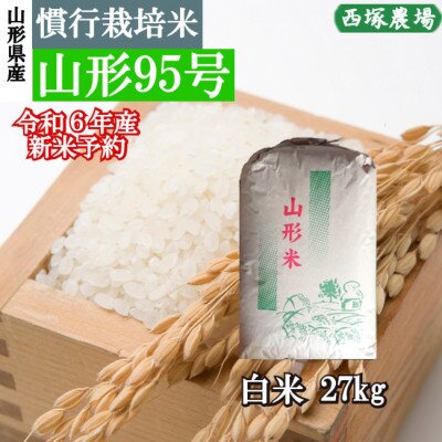 【令和6年産】 慣行栽培米 山形95号　白米 27kg　山形県産　西塚農場のお米