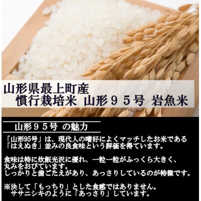 【令和6年産】 慣行栽培米 山形95号　白米 27kg　山形県産　西塚農場のお米
