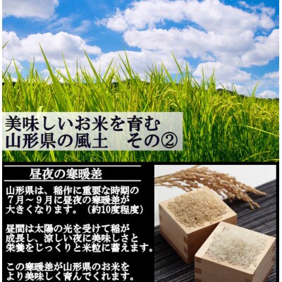 【令和6年産】 慣行栽培米 山形95号　白米 27kg　山形県産　西塚農場のお米