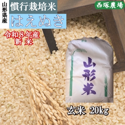 新米　令和8年産 慣行栽培米 はえぬき　玄米 20kg　山形県産　西塚農場