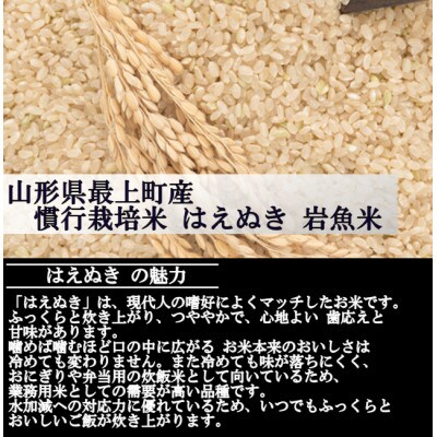 新米　令和8年産 慣行栽培米 はえぬき　玄米 10kg　山形県産　西塚農場