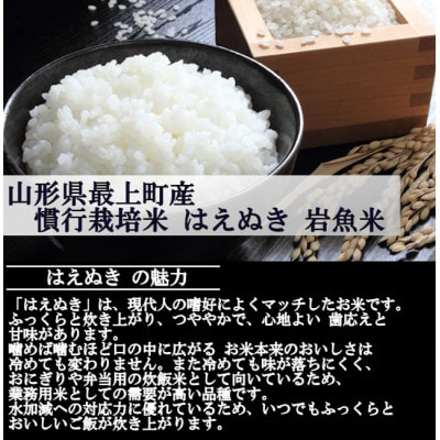 新米　令和8年産 慣行栽培米 はえぬき　白米 20kg　山形県産　西塚農場