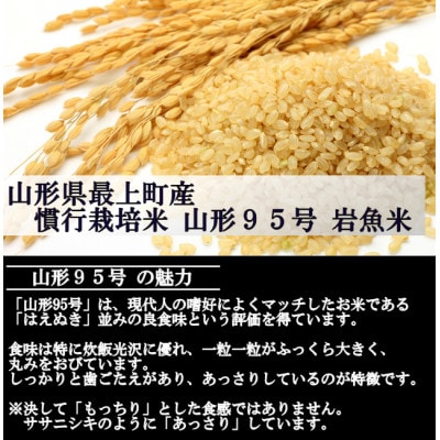 新米　令和8年産 慣行栽培米 山形95号　玄米 10kg　山形県産　西塚農場
