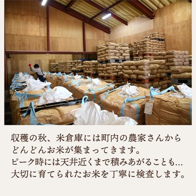 【令和4年産 無洗米】つや姫・雪若丸・あきたこまち 3種食べ比べセット(精米・各5kg×1袋ずつ)